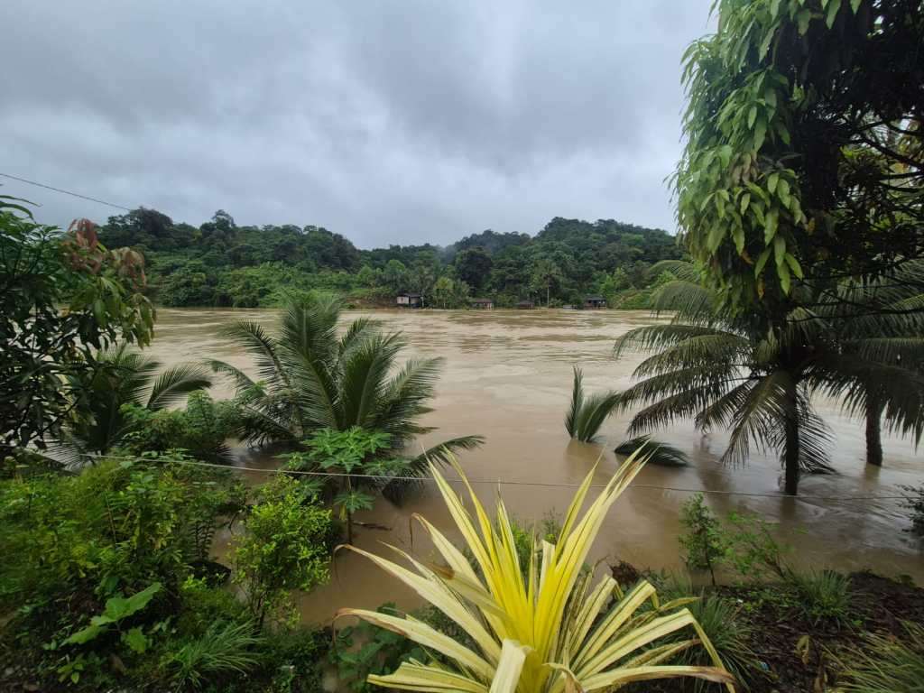 Paisaje inundado con río turbio, rodeado de vegetación exuberante y montañas al fondo bajo un cielo nublado.